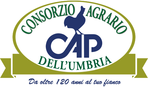 Consorzio Agrario dell'Umbria soc. coop.